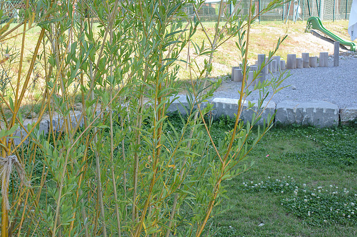 Gartengestaltung Bern, Mühleberg