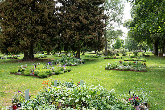 Referenzbilder, Friedhöfe, Friedhof, Gartenbau Bern Kuster Gärten AG