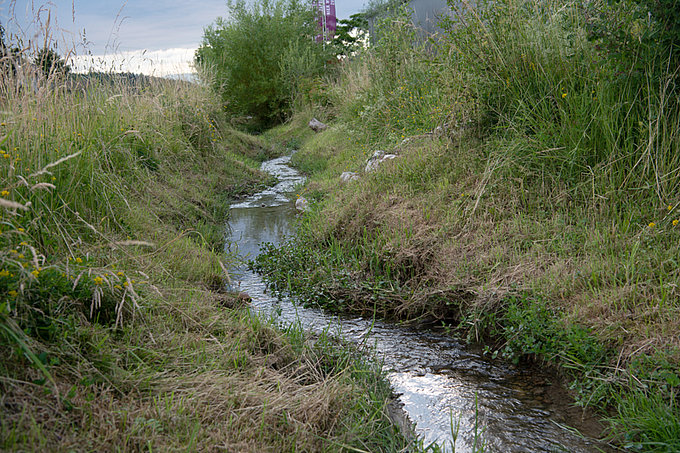 Naturnaher und ökologischer Gartenbau Bern