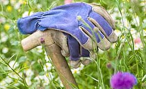 Gartenarbeiten Frühling, Gartenbau Wohlen und Bern