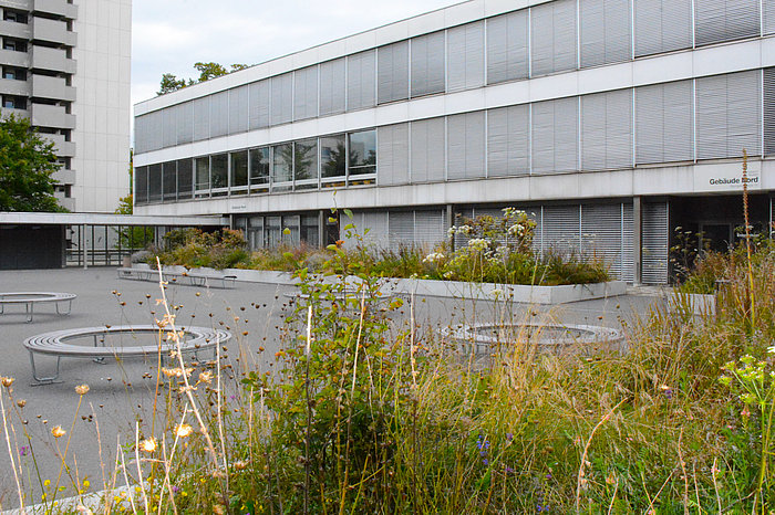 Schulanlage, Sanierung Einstellhalle, Gymnasium Neufeld, Bern