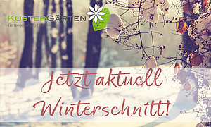 Winterschnitt und Baumschnitt