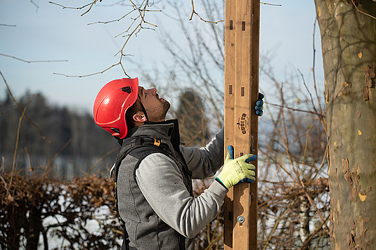Winterschnitt und Gartenpflege Kuster Gärten AG Mühleberg bei Bern
