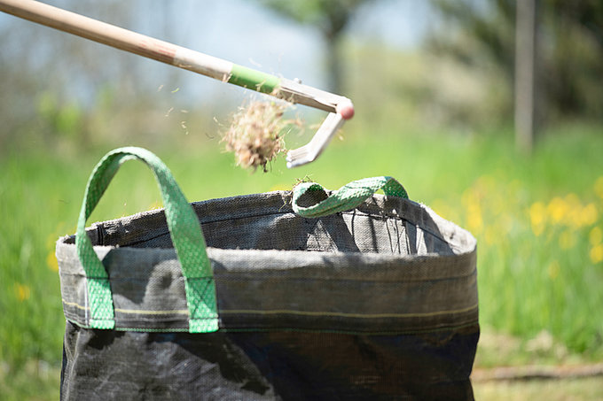 Gartenpflege und Gartenunterhalt Region Bern, Frauenkappelen