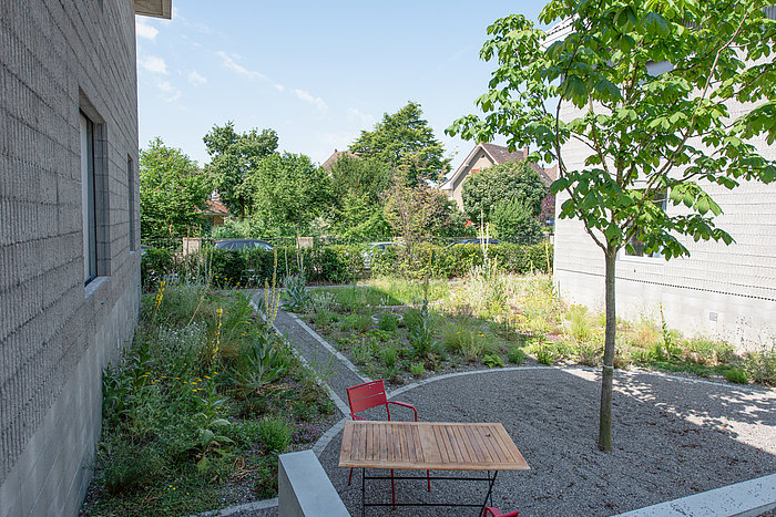 MFH Zwyssigstrasse, Gartenumgebung, Kuster Gärten AG, Bern