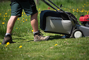 Aktuelle Gartenarbeiten Sommer