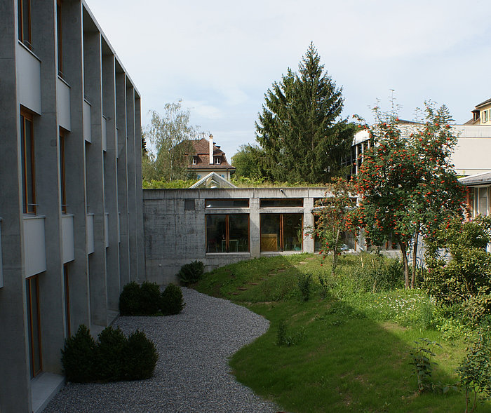 Asphalt, Baumpflanzung, geschwungener Kiesweg, Betonplatten