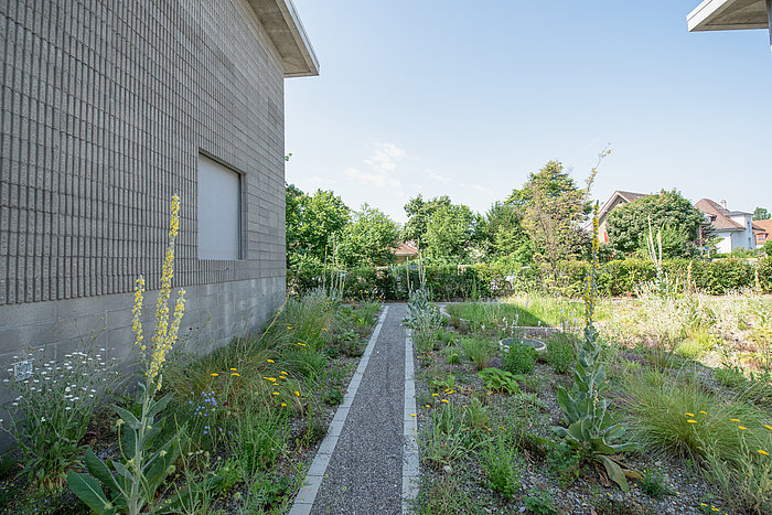 Umgebungsarbeiten Zyissigstrasse in Bern