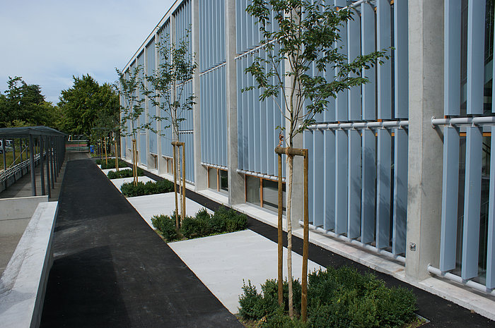 Campus Schulanlage Muristalden, Bern, Spielplatz