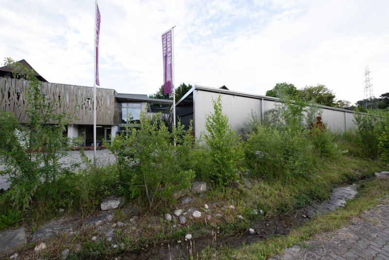 Gartenplanung Bern naturnahes Firmenareal