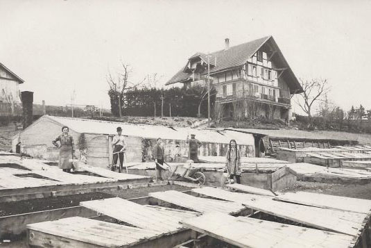 Gartenplanung und Gartengestaltung Bern und Mühleberg
