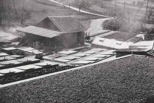 Gartenunterhalt und Gartenpflege Bern und Neuenegg