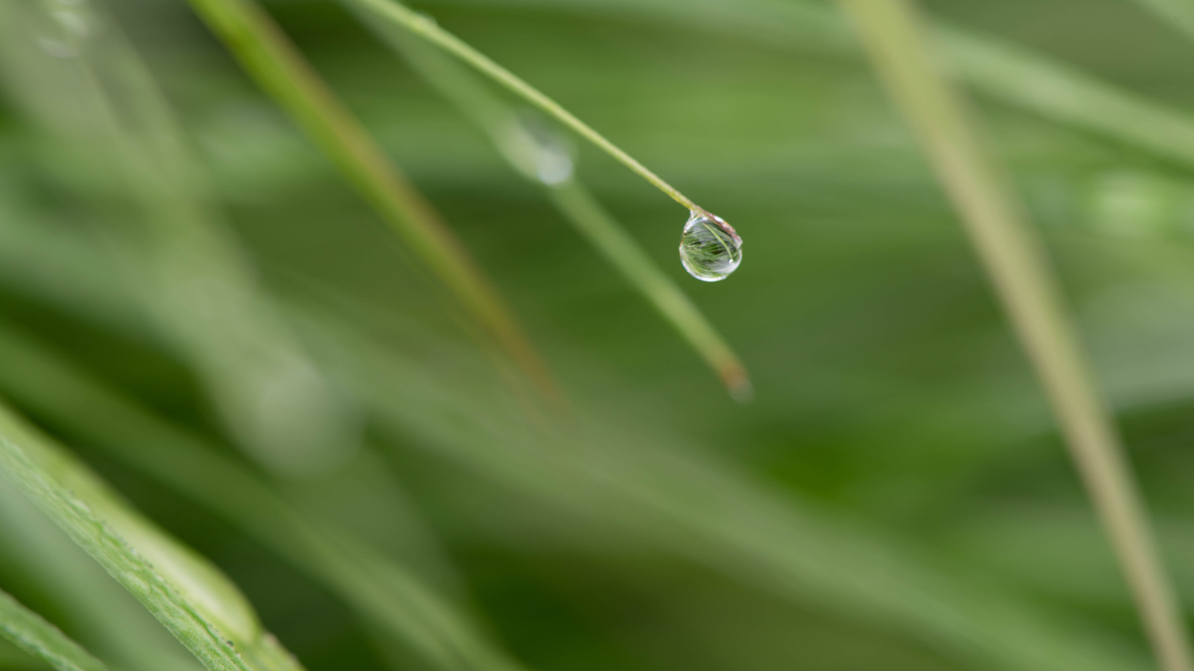Biodiversität und Ökologie Bern