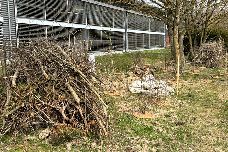 Aufwertung Schulanlage Allenlüften