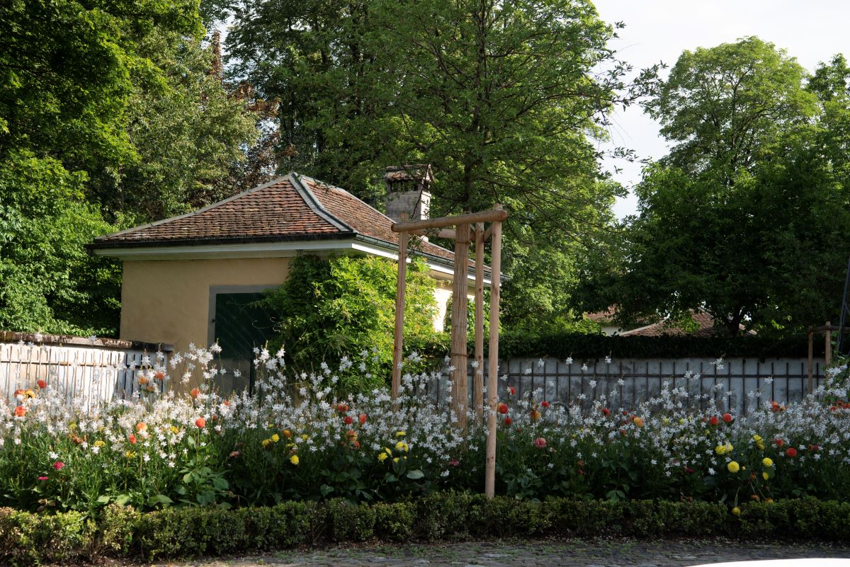 Bepflanzungskonzept Gartengestaltung Kuster Gärten AG Bern