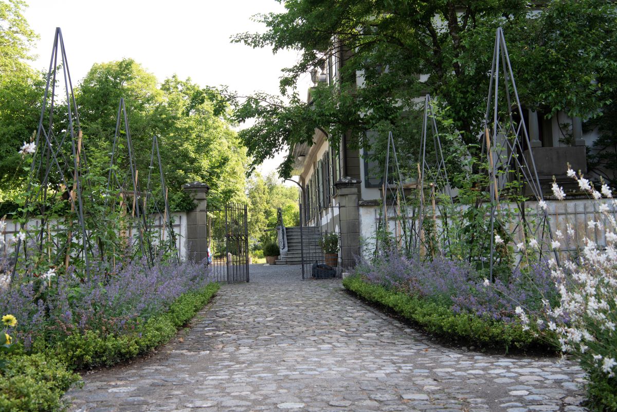 Bepflanzungskonzept Gartengestaltung Kuster Gärten AG Bern